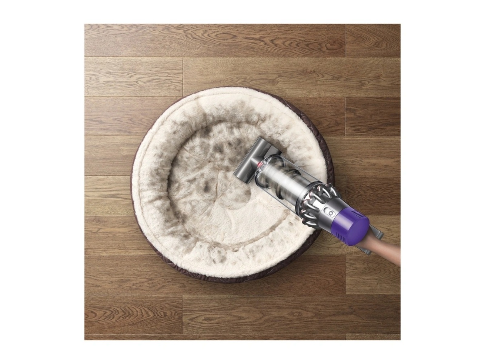Dyson Cyclone V10 Absolute sladdlös dammsugare -B-Grade Demo hem & hushåll