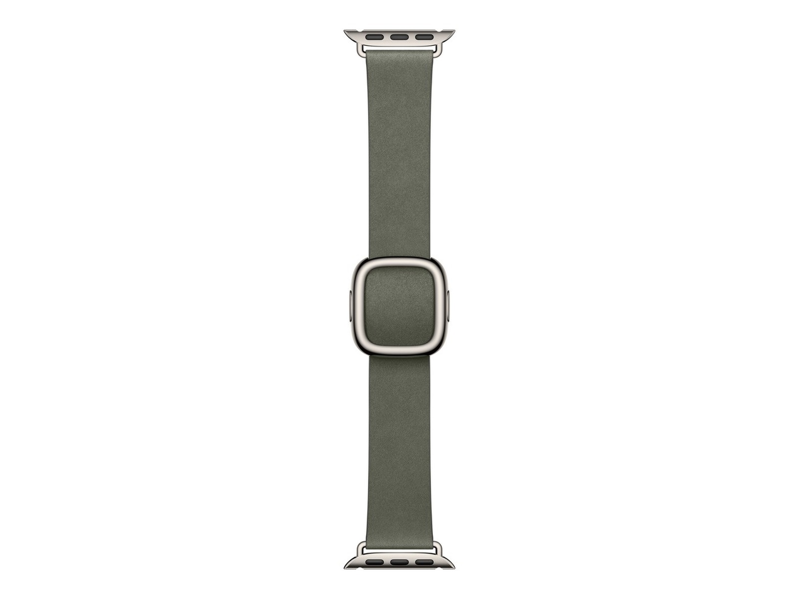Apple Watch 42mm Modern Buckle (sage gray) Armband