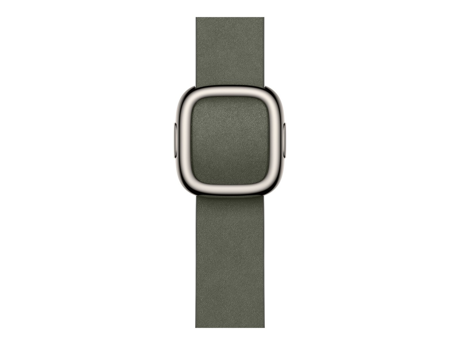 Apple Watch 42mm Modern Buckle (sage gray) Armband