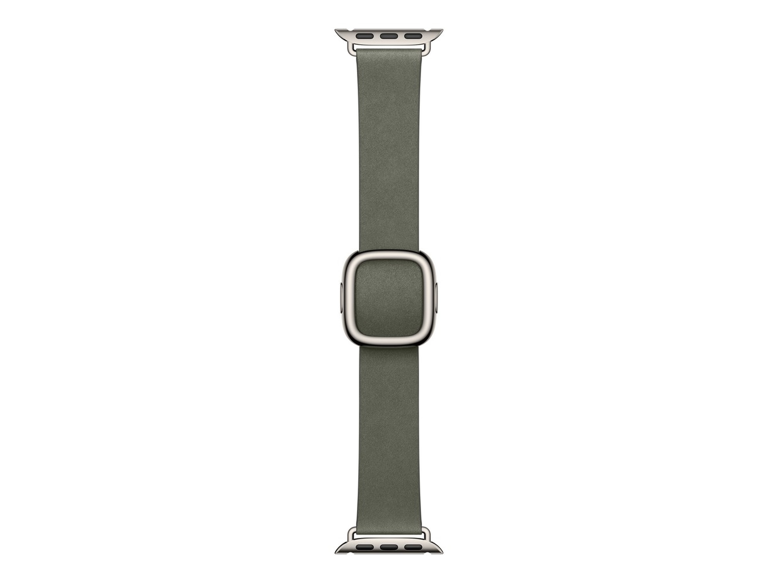 Apple Watch 42mm Modern Buckle (sage gray) Armband