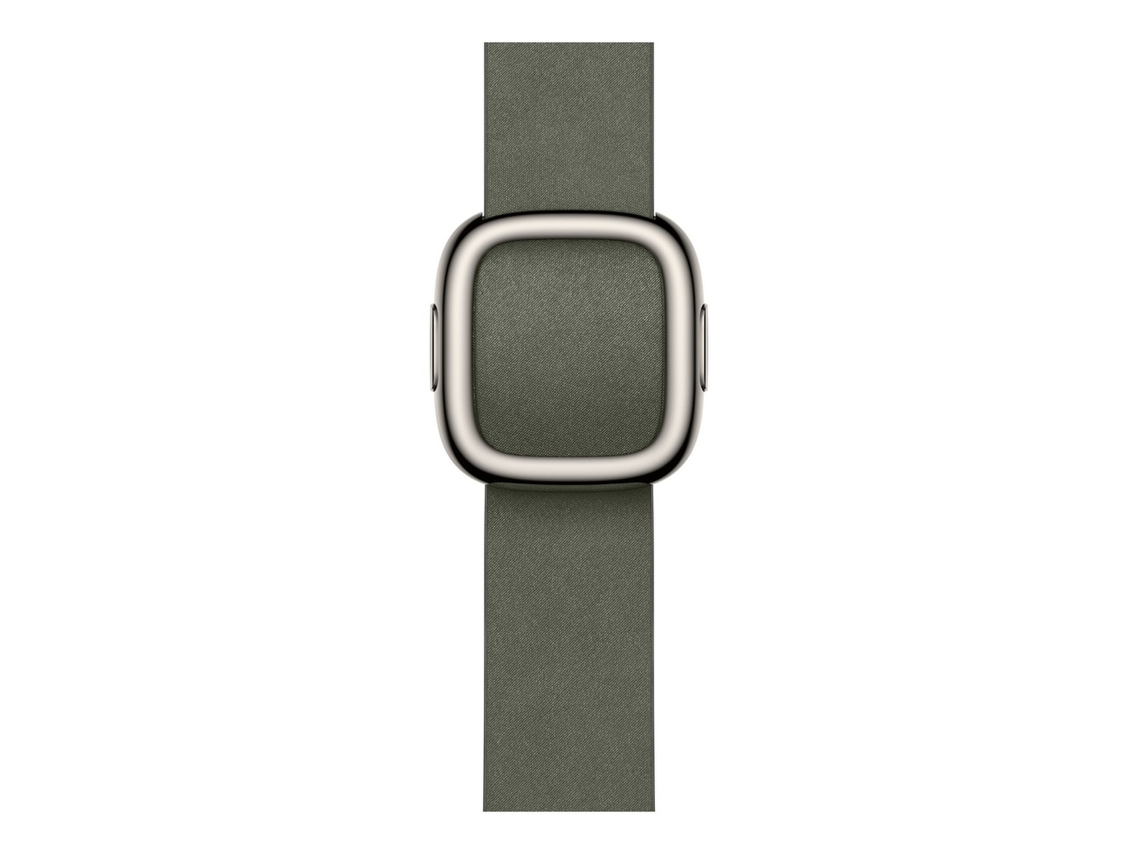 Apple Watch 42mm Modern Buckle (sage gray) Armband