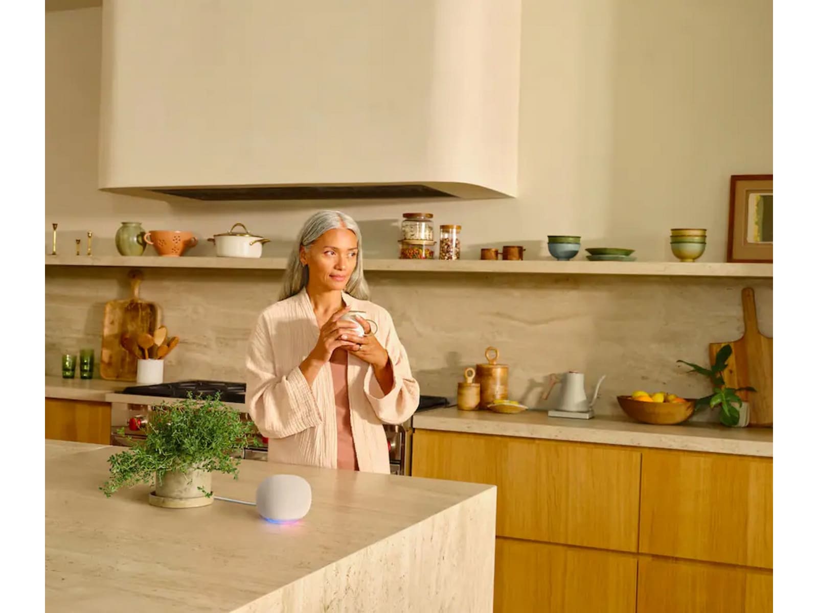 Google Home-högtalare (porcelain) Trådlös / Bluetooth högtalare
