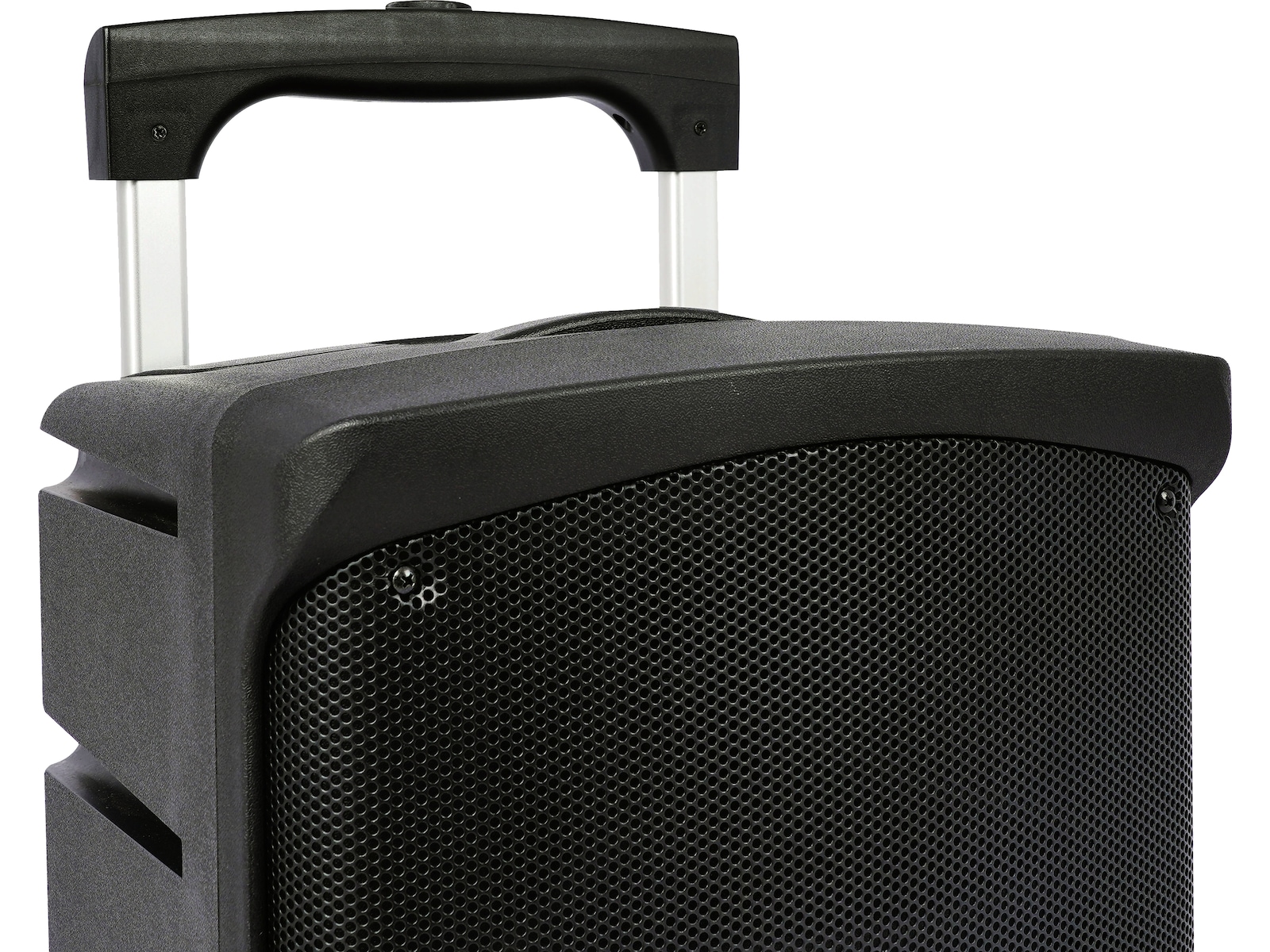 BLG Bärbart PA-system 100W RMS, Bluetooth Trådlös / Bluetooth högtalare