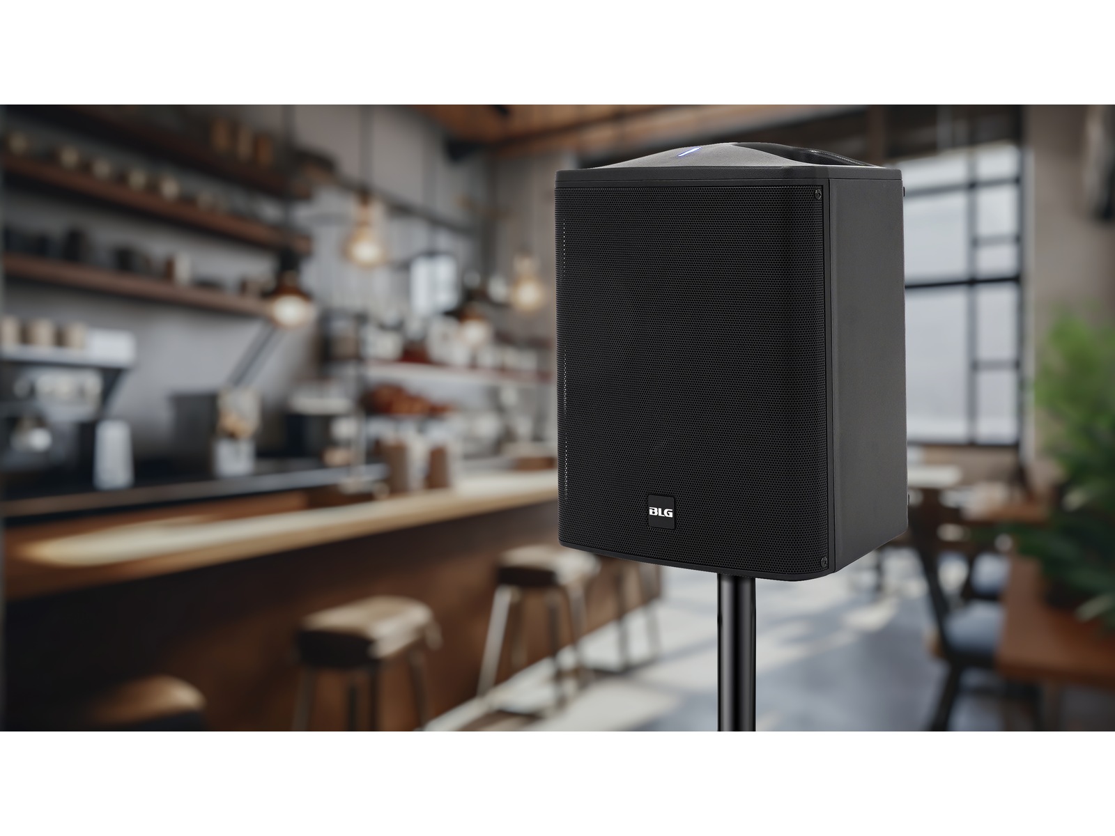 BLG 6.5" 100W Batteridriven Högtalare Trådlös / Bluetooth högtalare