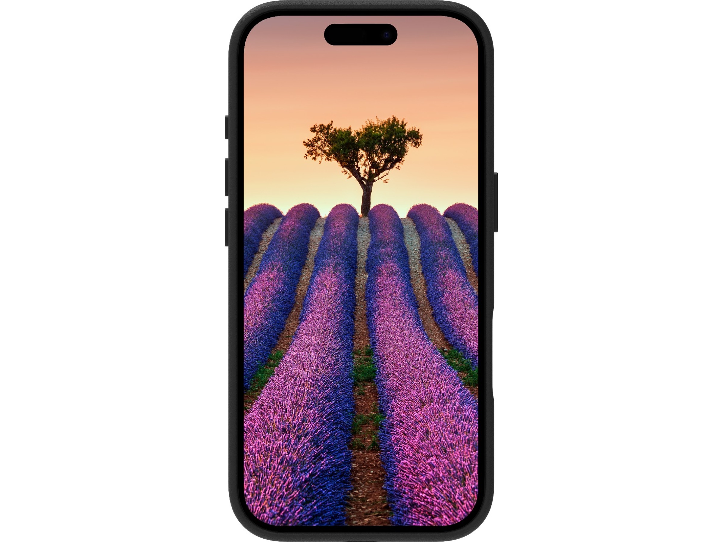 dbramante1928 iPhone 17 Roskilde läderskal (svart) Mobilskal