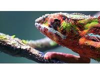 Bildkalibrering - folder TV-ram & tillbehör