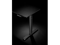 Ergonomiskt höj-/sänkbord 120cm (svart) Aktivitetsbord