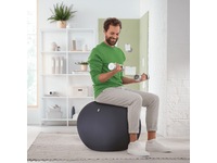 Leitz Ergo Active Anti-Roll Balance Ball (mörkgrå) Kontorsstolar