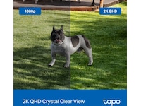 TP-Link Tapo C425 utomhus övervakningskamera Övervakningskamera
