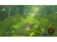 The Legend of Zelda: Breath of the Wild Spill till Nintendo Switch 2