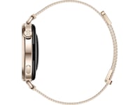 Huawei Watch GT 6 41mm (gold) Smartwatches