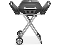 Bärbar gasgrill med dubbelbrännare 4,5 kW Utomhusgrillar