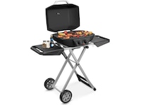 Bärbar gasgrill med dubbelbrännare 4,5 kW Utomhusgrillar