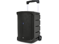BLG Bärbart PA-system 100W RMS, Bluetooth Trådlös / Bluetooth högtalare