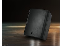BLG 150W PA-system 10" Sub 2-vägs aktiv Högtalare