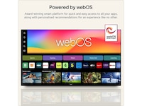 LG 48" G66 OLED evo 4K Smart TV (2026) 20 - 49 tums TV