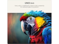 LG 100'' QNED evo AI 87B6 MiniLED 4K TV (2026) Över 80 tums TV
