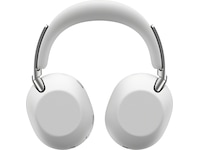 SONY 1000X THE COLLEXION Over-Ear Hörlurar (platina) Hörlurar