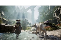 Beast of Reincarnation Deluxe Edition Spel till Playstation 5