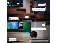 Philips 55'' PUS8001 4K Ambilight LED Smart TV (2026) 50 - 59 tums TV