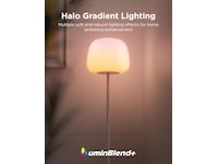 Govee Golvlampa med miljoner färger Golvlampa
