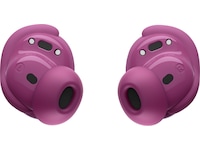 Bose QuietComfort Öronproppar 2:a gen (rosewood mauve) In-ear hörlurar