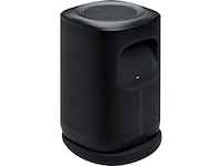 JBL Cove P1 Wi-Fi Högtalare (svart) Trådlös / Bluetooth högtalare
