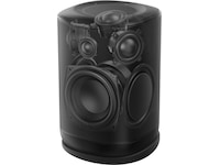 JBL Cove P1 Wi-Fi Högtalare (svart) Trådlös / Bluetooth högtalare