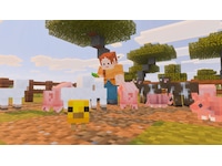 Minecraft Spill till Nintendo Switch 2