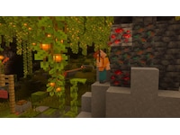 Minecraft Spill till Nintendo Switch 2