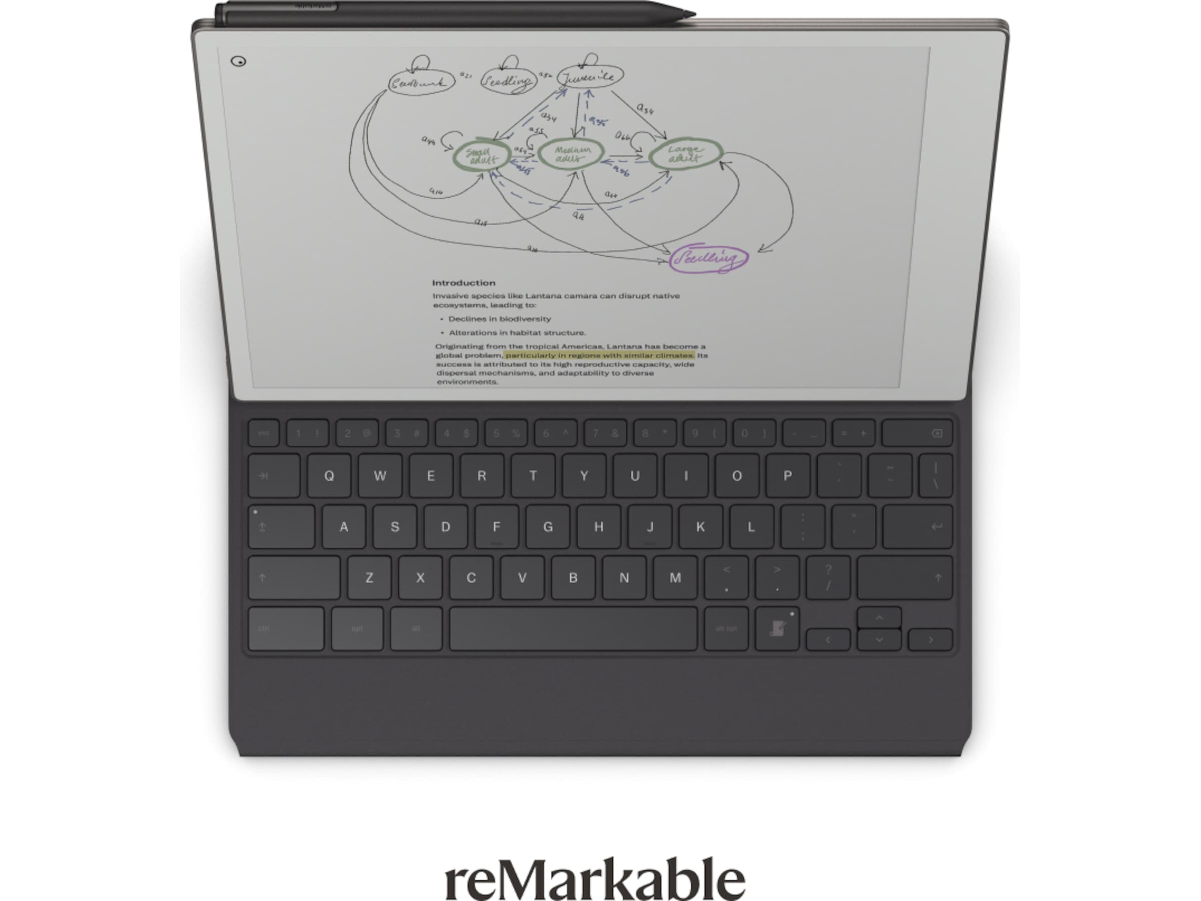 reMarkable Paper Pro Type Folio tangentbordsfodral (basalt) Tillbehör till digitala anteckningsblock