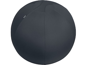 Leitz Ergo Active Anti-Roll Balance Ball