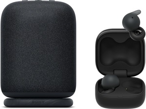 Linkbuds Open True Wireless hörlurar