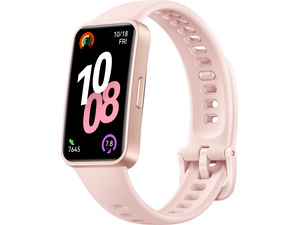 Band 10 43mm