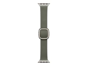 Watch 42mm Modern Buckle (sage