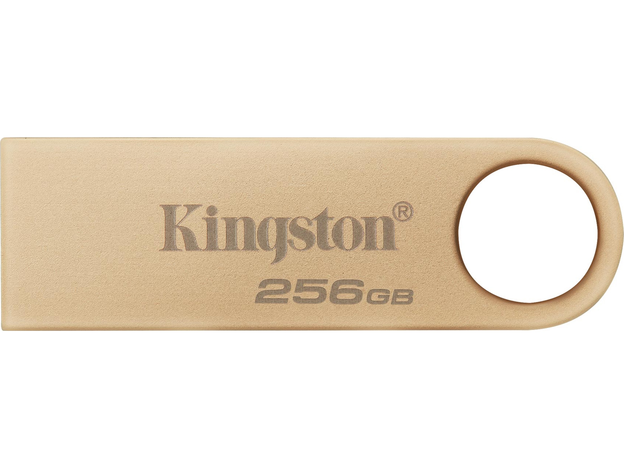 Kingston DataTraveler DTSE9 256GB USB-minnen