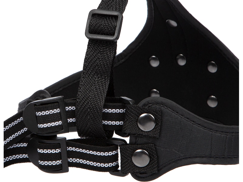 iiglo huvudband till iiglo cykellampor Pannlampor & ficklampor