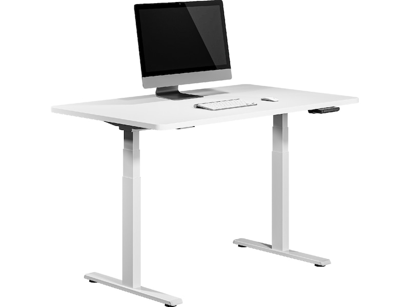 Ergonomiskt höj-/sänkbord 120cm (vit/eik) Aktivitetsbord