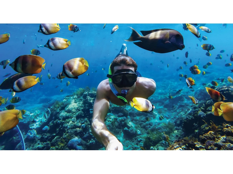 GoPro HERO11 Black Mini Protective Dive Housing Tillbehörssatser till kameror