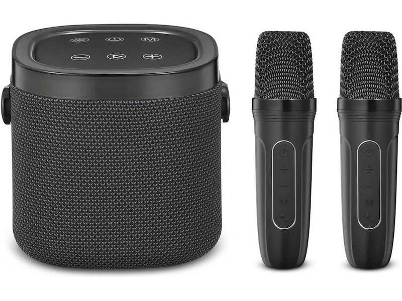 Andersson KEM-D3000 Bärbar karaokehögtalare med 2 mikrofoner Trådlös / Bluetooth högtalare