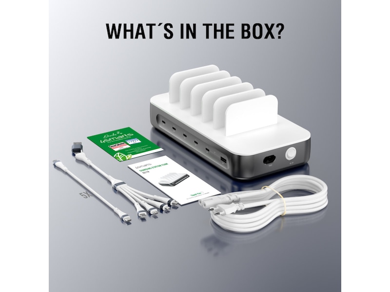 4smarts Team 100W Laddningsstation (rymdgrå) Laddstation