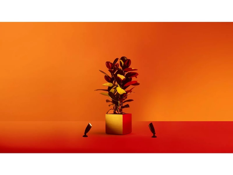 WiZ 12V förlängning för markspotlight Golvlampa