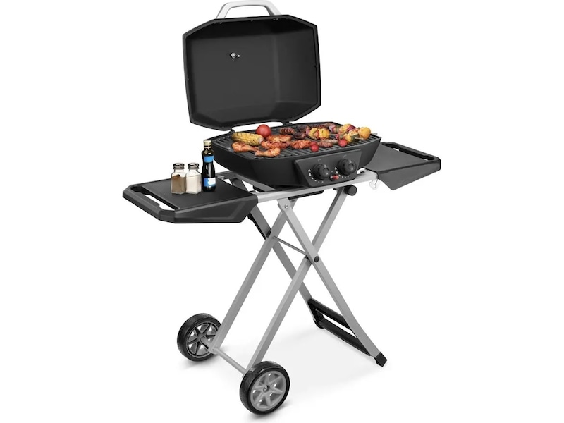 Bärbar gasgrill med dubbelbrännare 4,5 kW Utomhusgrillar