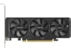 Asus GeForce RTX 5060 LP BRK OC Grafikkort