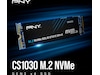 PNY CS1030 M.2 NVMe SSD 250GB SSD M.2