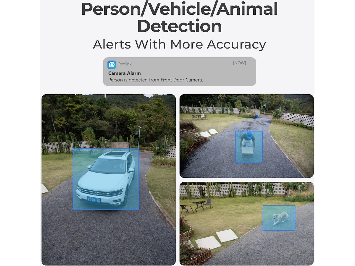 Reolink P324 övervakningskamera Övervakningskamera