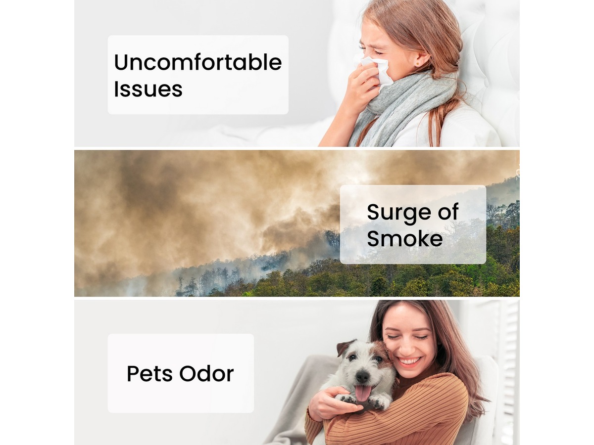 Smartmi Air Purifier P1 filter (djurallergi) Luftrenare