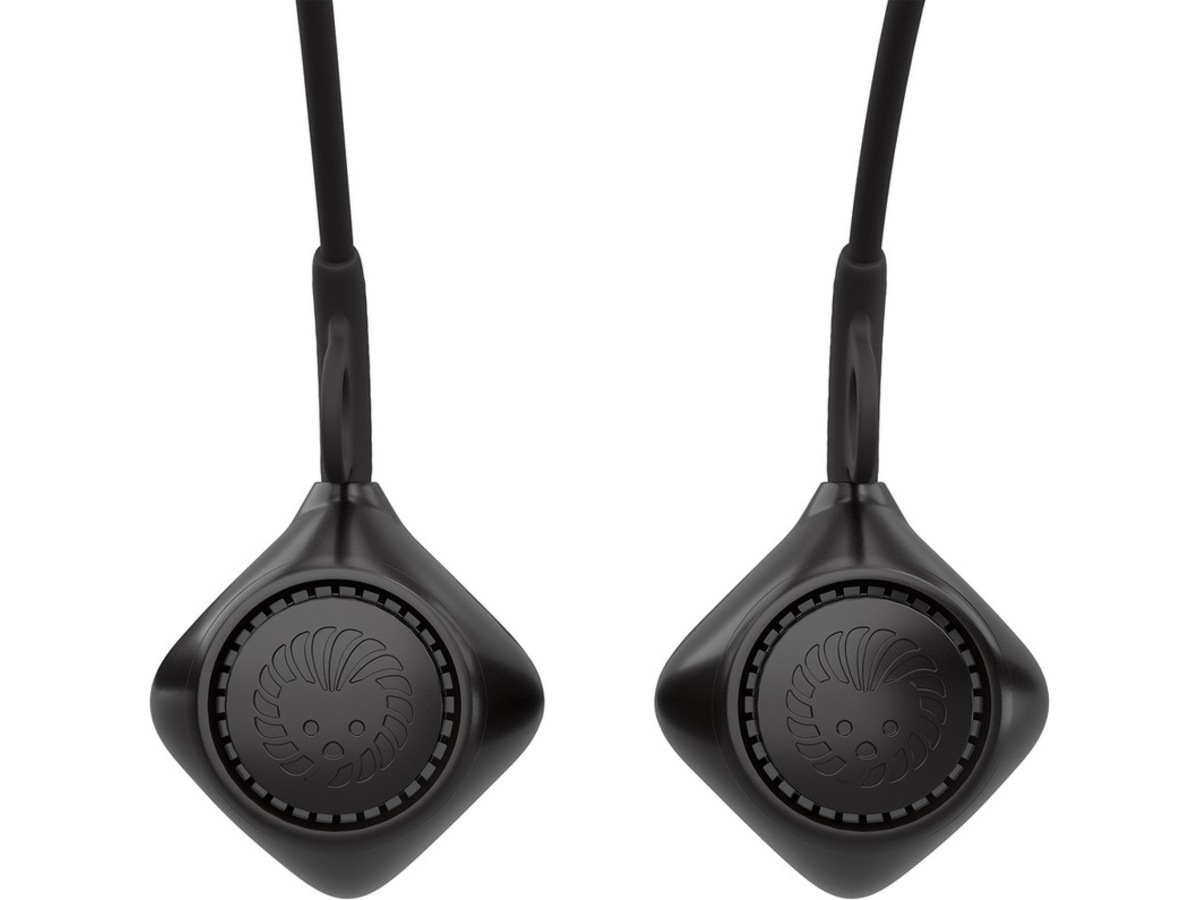 Hedgehog Drive skotork för bil + ström laddare (svart) Skotorkare