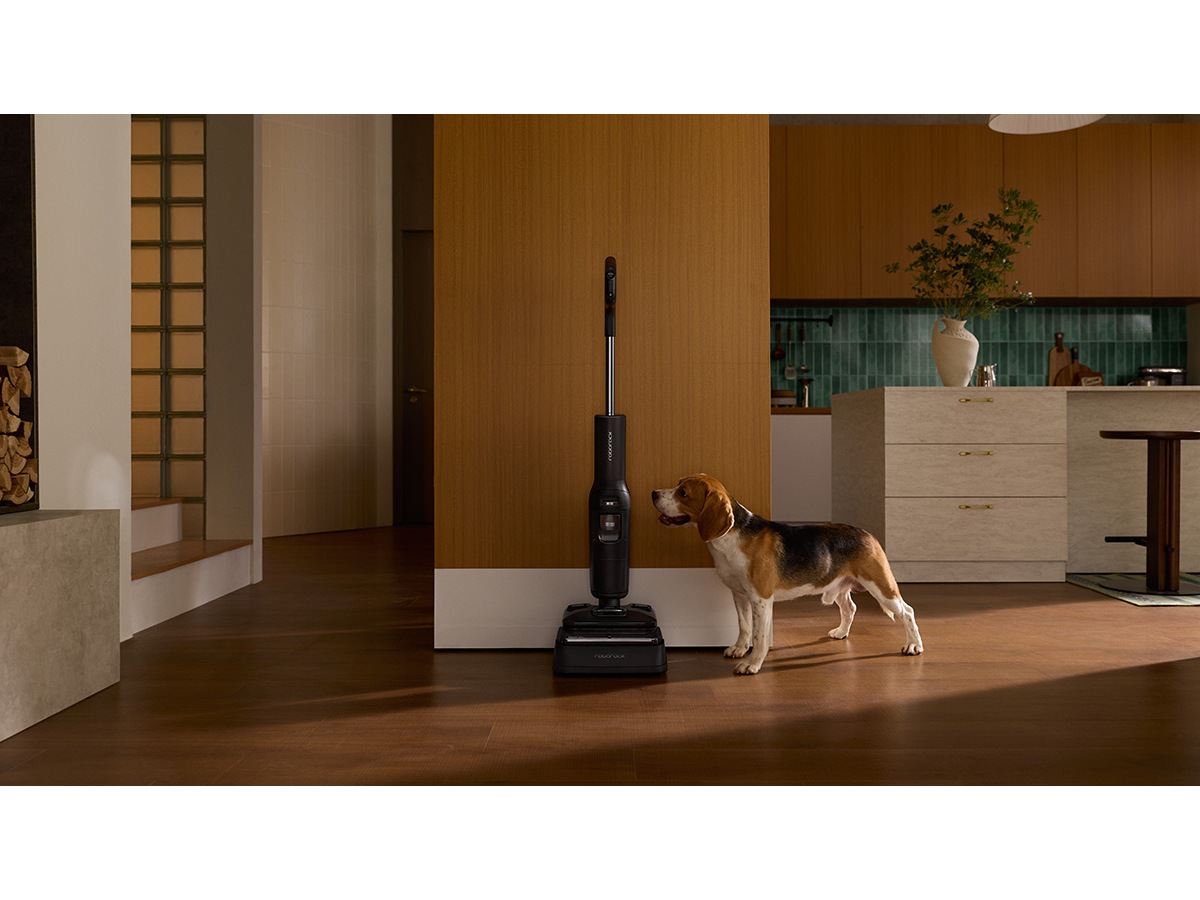 Roborock F25 Ultra handdammsugare (svart) Skaftdammsugare