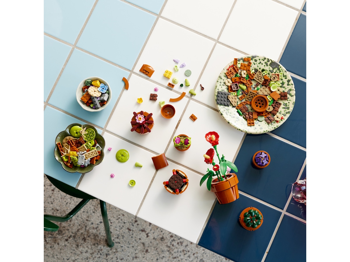 LEGO Botanicals Tiny Plants 10329 LEGO